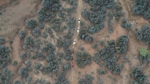 Man Against Horse Race photo 2