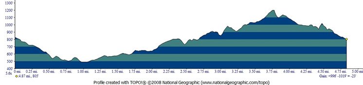 Crystal Springs Trail Run photo 3