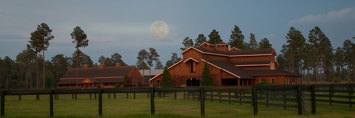 Aiken Trailblazer Half Marathon - 15k - 5K - Kids Fun Run at Stable View photo 1