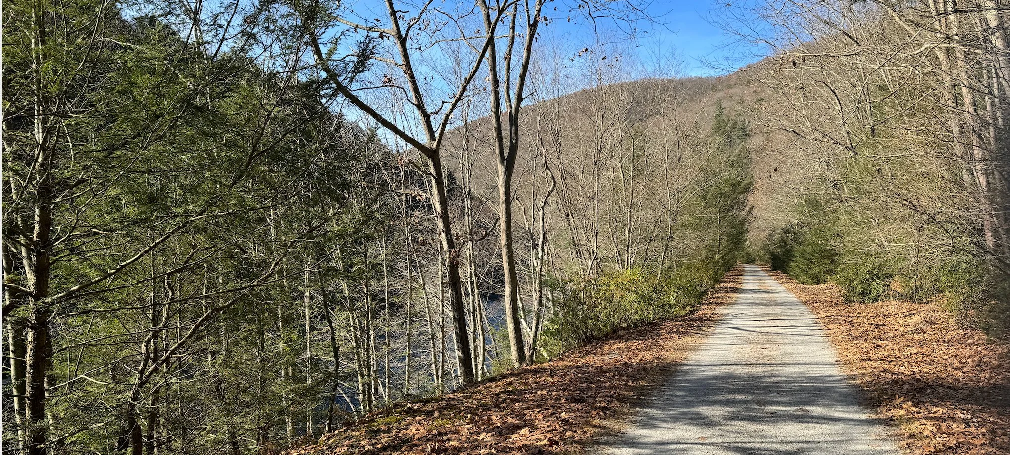 WICKED FAST MARATHON & HALF MARATHON POCONOS photo 7