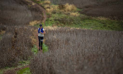 Schaeffer Half Marathon, 10K, 5K Trail Run photo 2