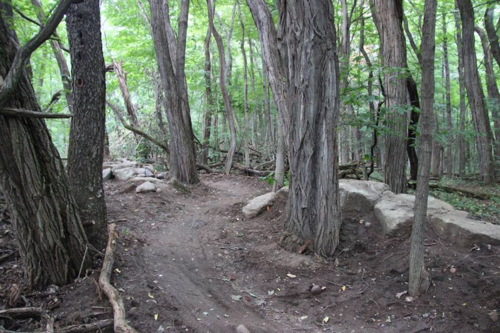 PIT ★ XCO | Presented by Maple Hill Auto Group photo 10