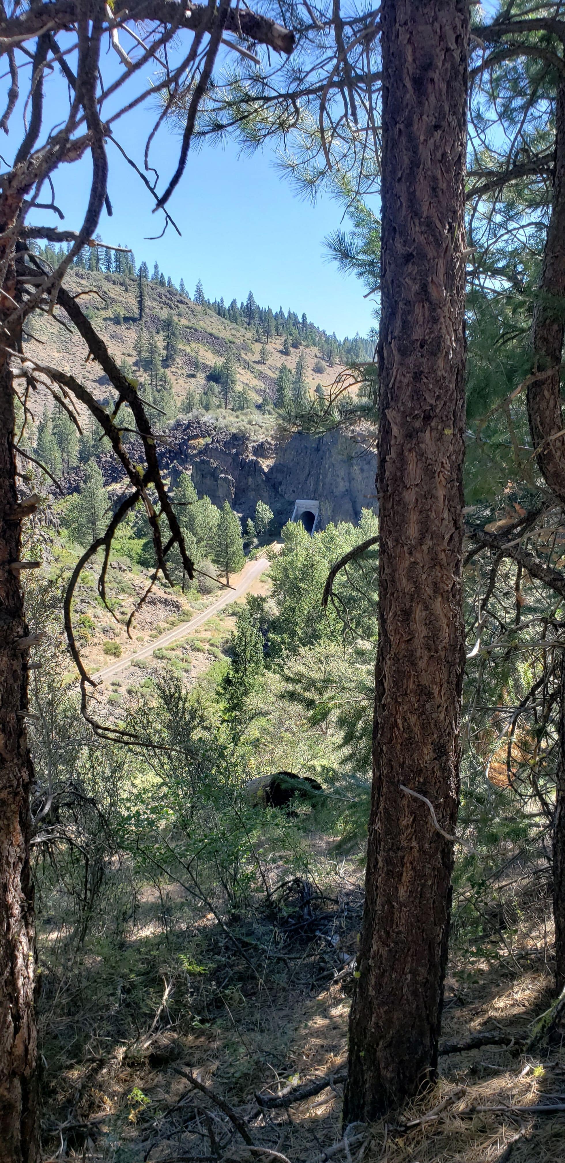 Bizz Johnson's Southside Scramble photo 11