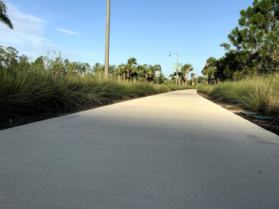 Fort Myers Half Marathon & 5K photo 8