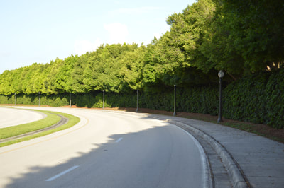 Fort Myers Half Marathon & 5K photo 7