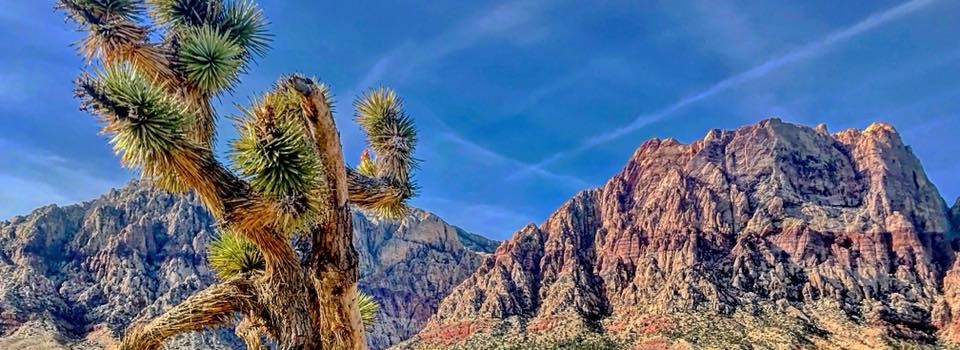 Red Rock Canyon Marathon, 1/2, and 5K photo 6