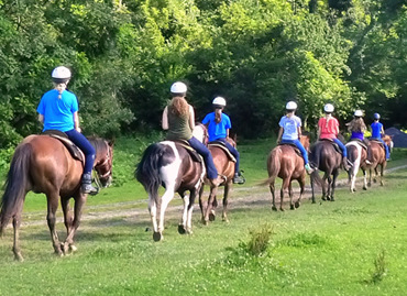 Horseshoe Hill Climb photo 3