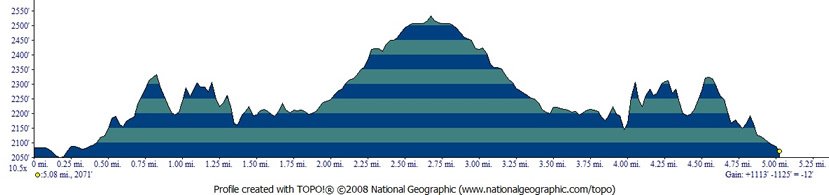 Horseshoe Lake Trail Run photo 3