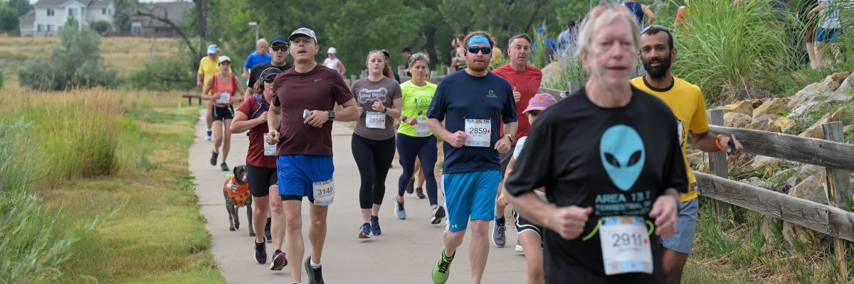 All-Out Dog Days photo 2