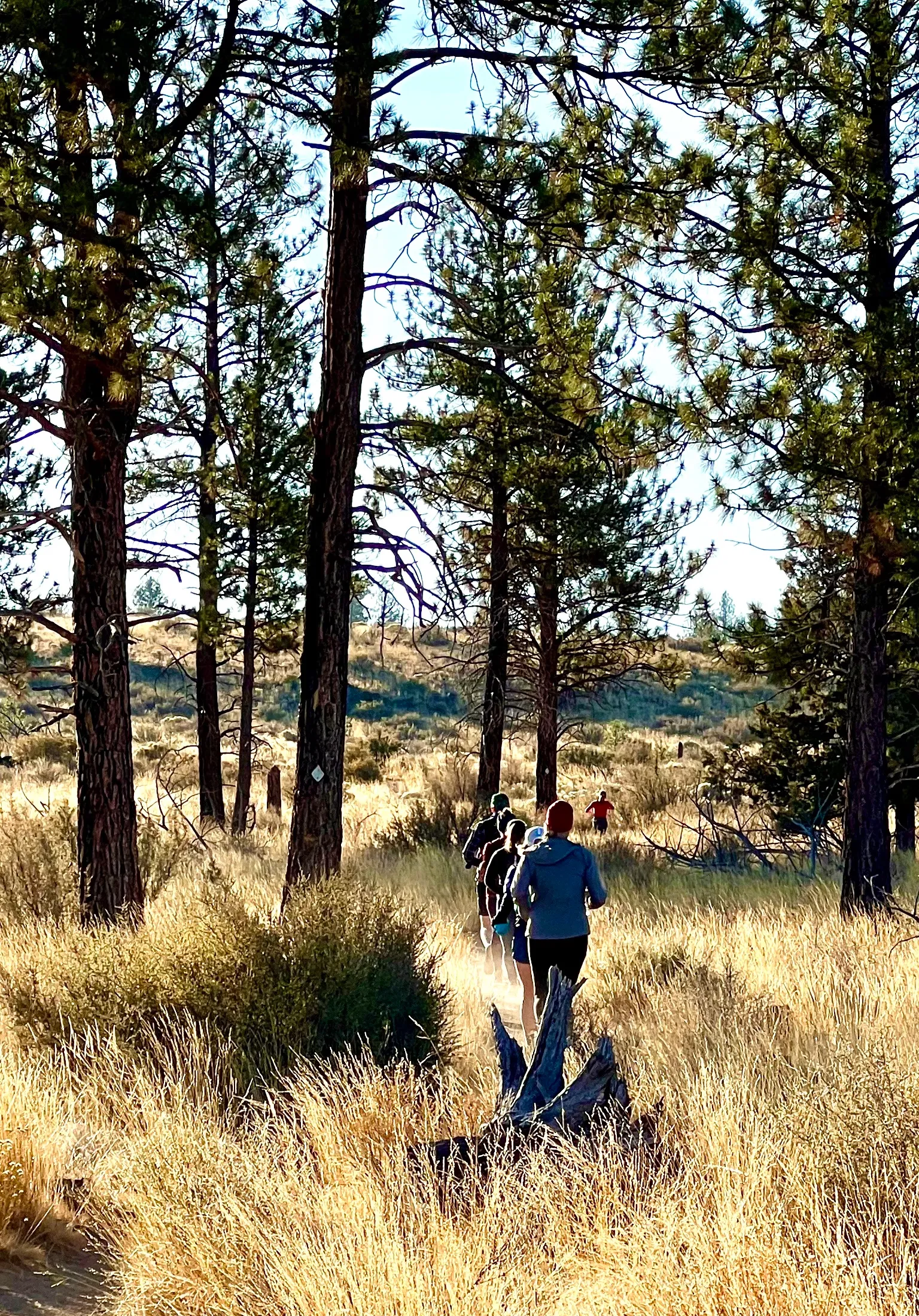 Dirty Half Marathon photo 6