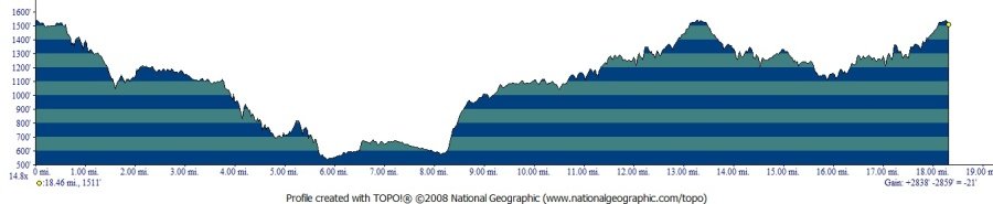 Redwood (Summer) Trail Run photo 2