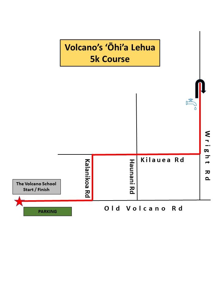 Volcano's 'Ohi'a Lehua Run photo 6