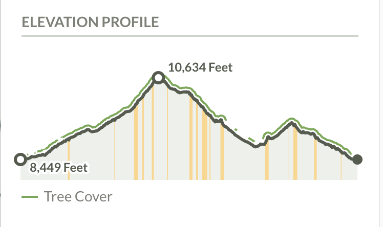 WILD Wahatoya Runs photo 2