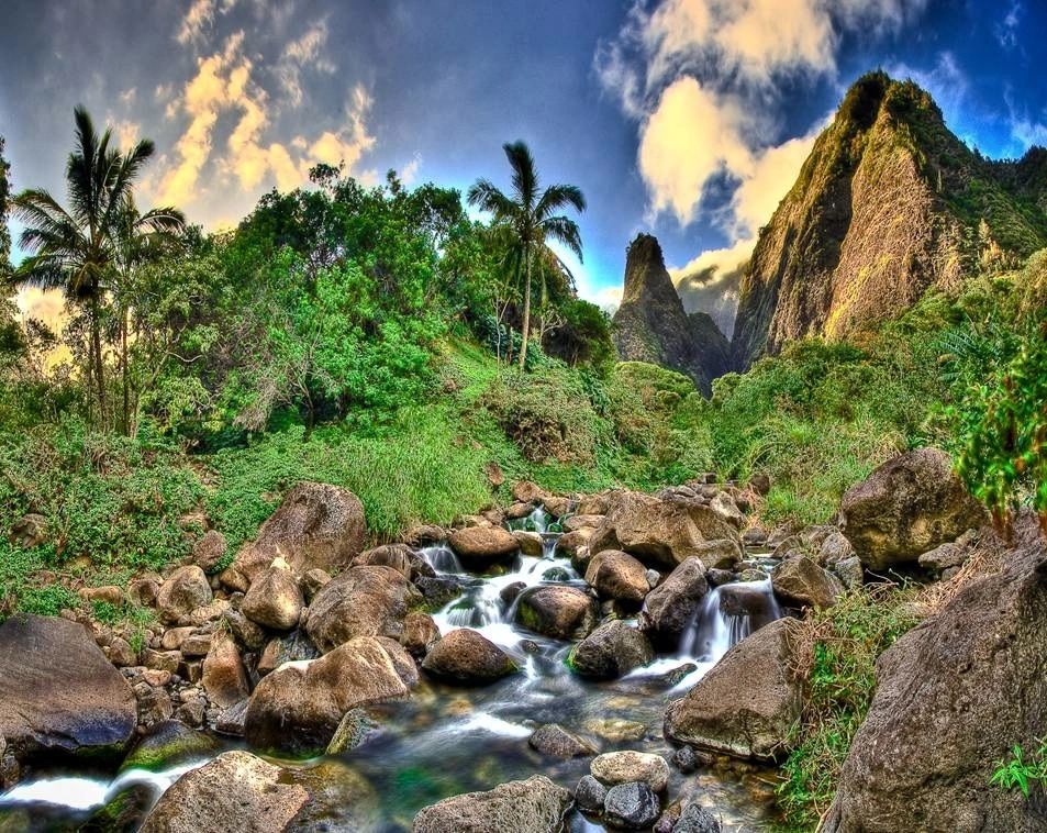 Maui Valley To The Sea Half Marathon photo 1