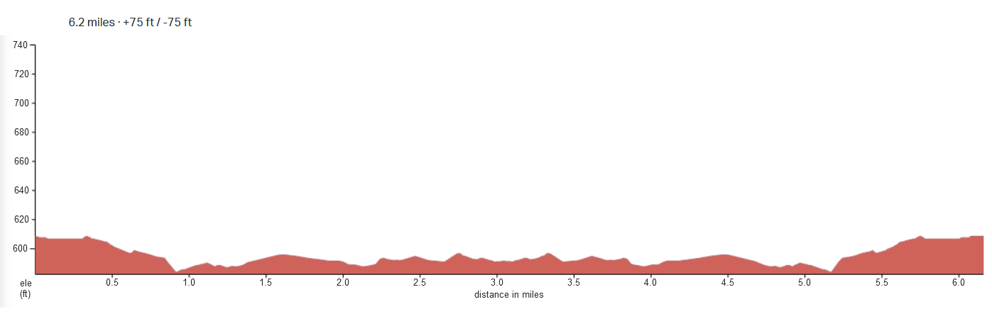 Bayshore Marathon, Half Marathon, 10K, & Kids Fun Run photo 5
