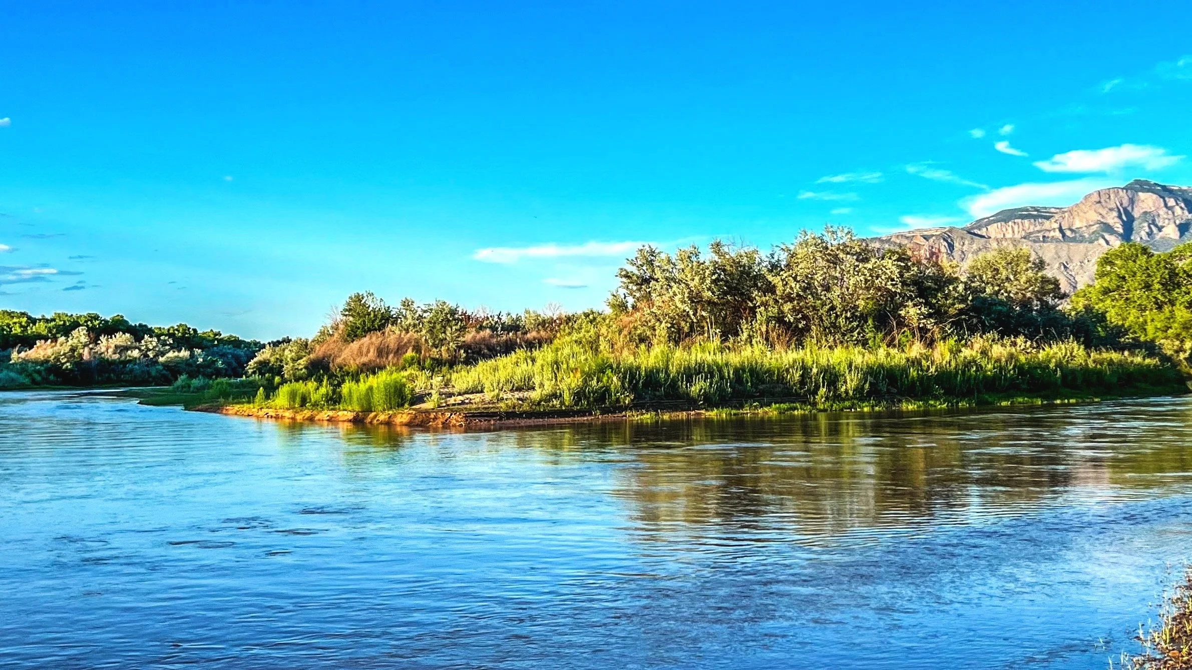 Parnall Law Rio Grande Half Marathon and One Medal 5k Run/Walk photo 7