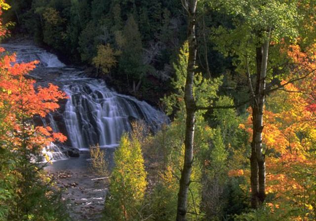 The Paavo Marathon | Half | Relay | And More photo 4