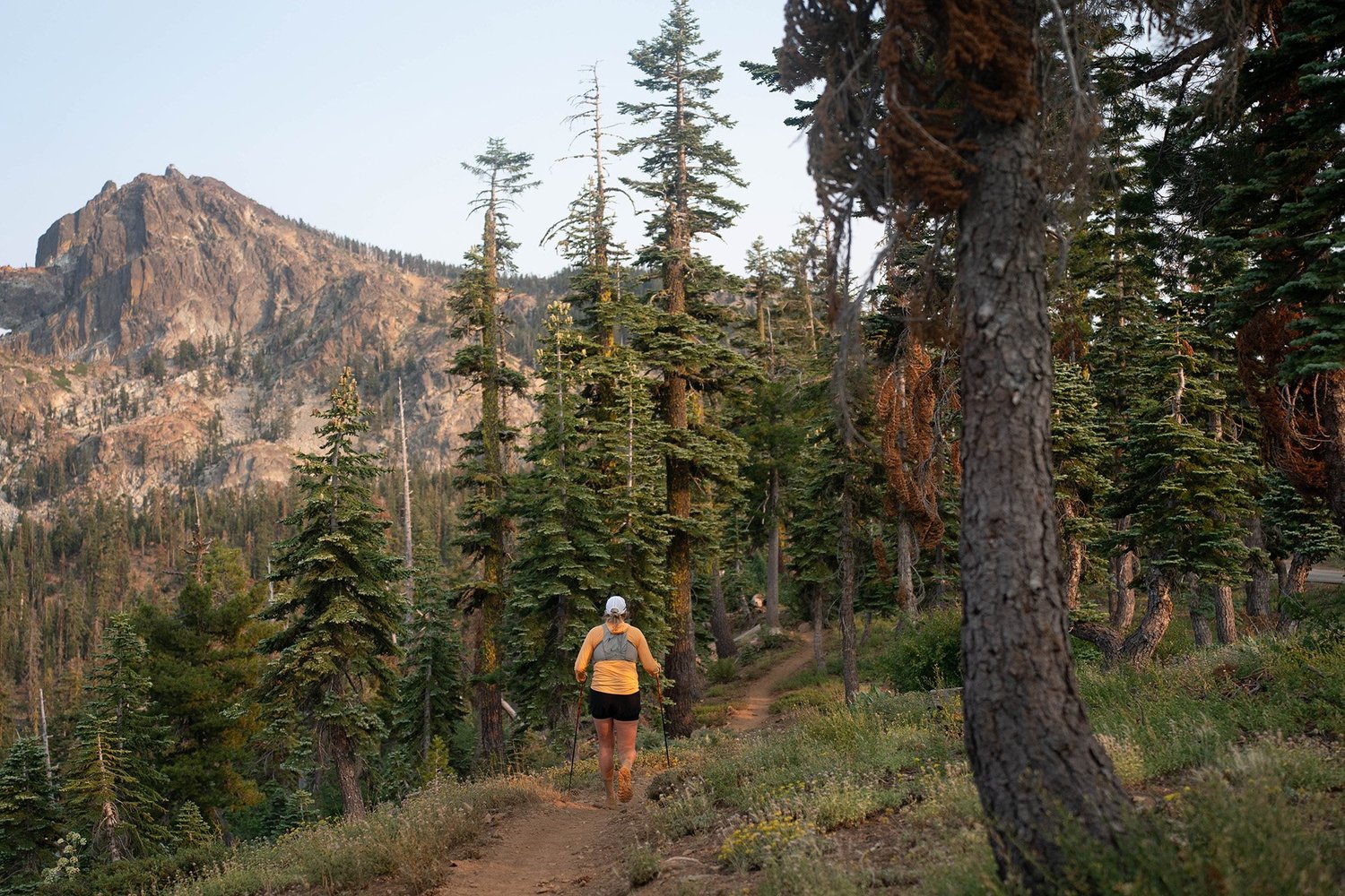 Sunset & Cider Trail Races photo 7