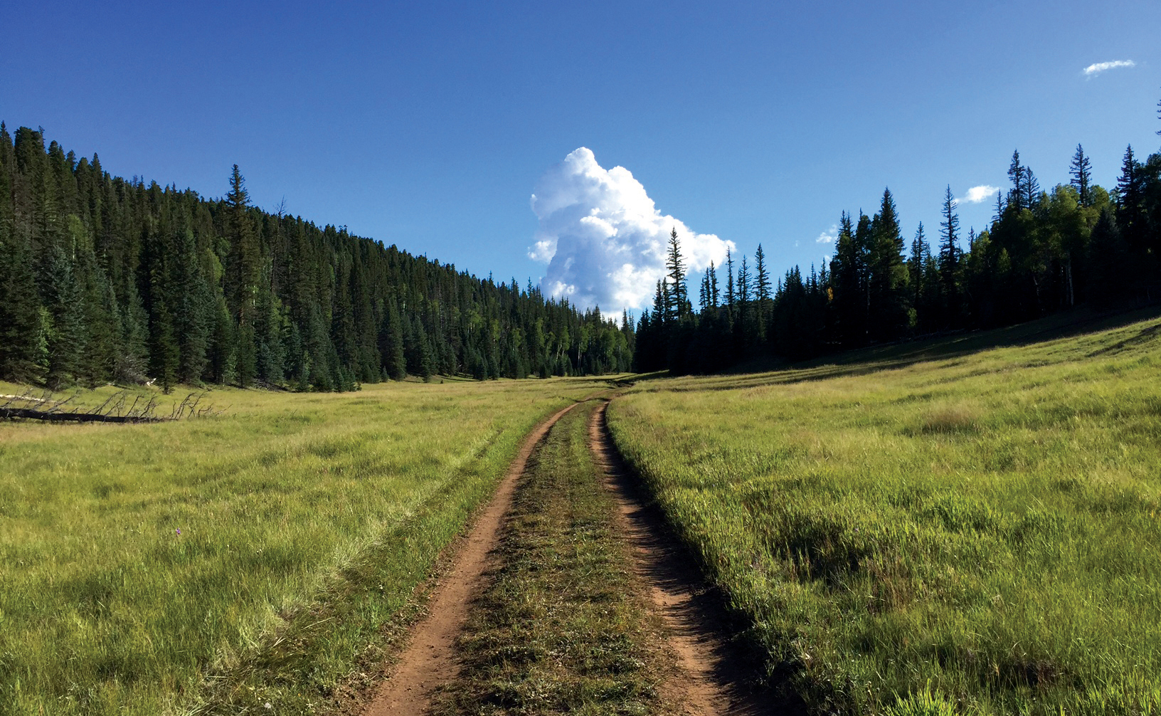 AZT Oracle Rumble photo 7