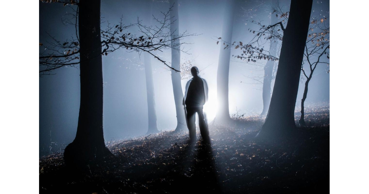 The Haunted Forest Marathon photo 1