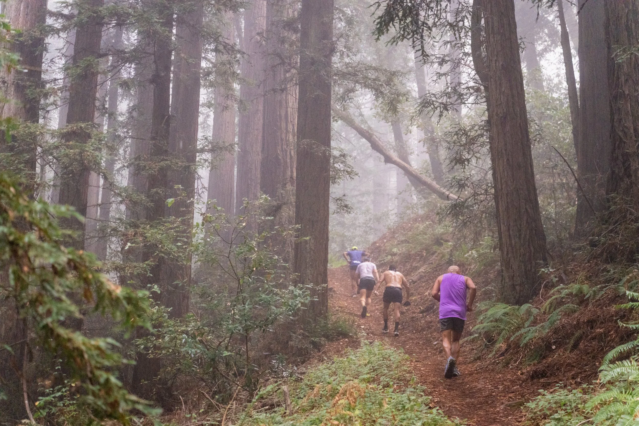 Mt. Madonna Challenge photo 3