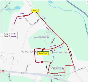 Run to the Rock photo 6