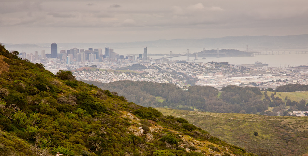 Star City San Bruno Mountain Half Marathon photo 13