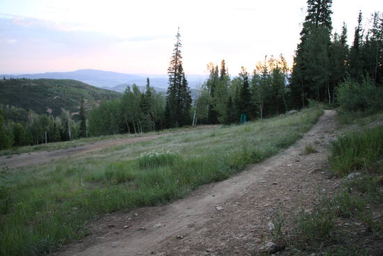 Triple Trail Challenge photo 3