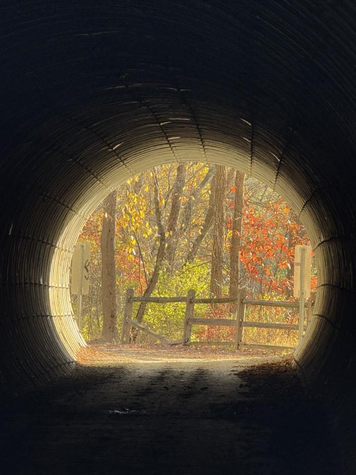 Buckeye Trail Blue Blaze Festival - Half Marathon, 10K, 5K Run, Hike and Backpack photo 2