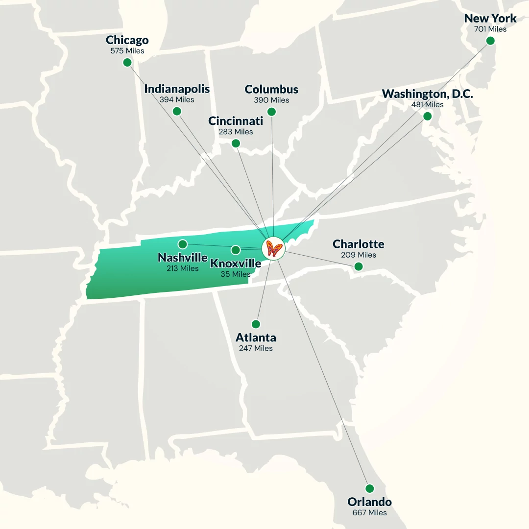 Run Dollywood Spring Race Weekend photo 6