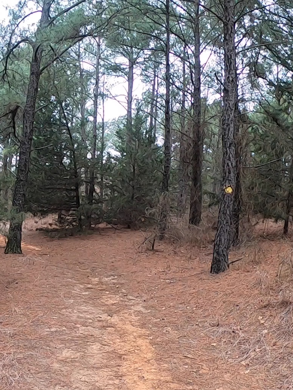 Grasslands Trail Run photo 11