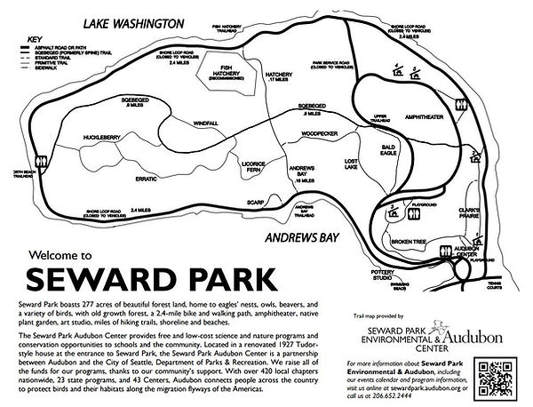 Seattle Cherry Blossom Run photo 2