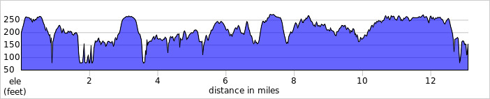 FXBG Trail Half Marathon photo 3