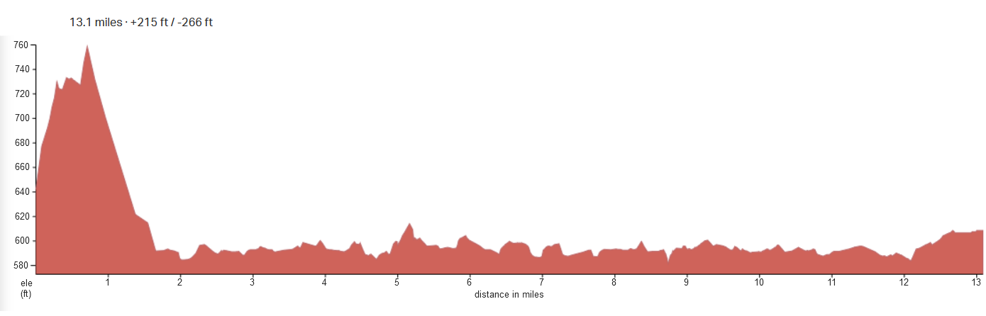 Bayshore Marathon, Half Marathon, 10K, & Kids Fun Run photo 3