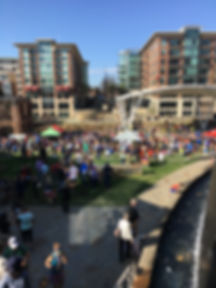 Greenville Half Marathon & 5K photo 1