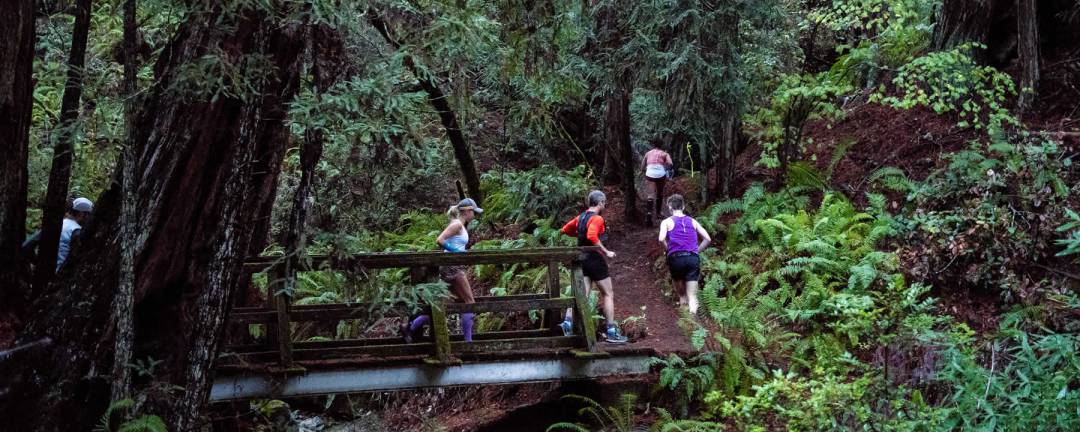 Santa Cruz Trail Run photo 5