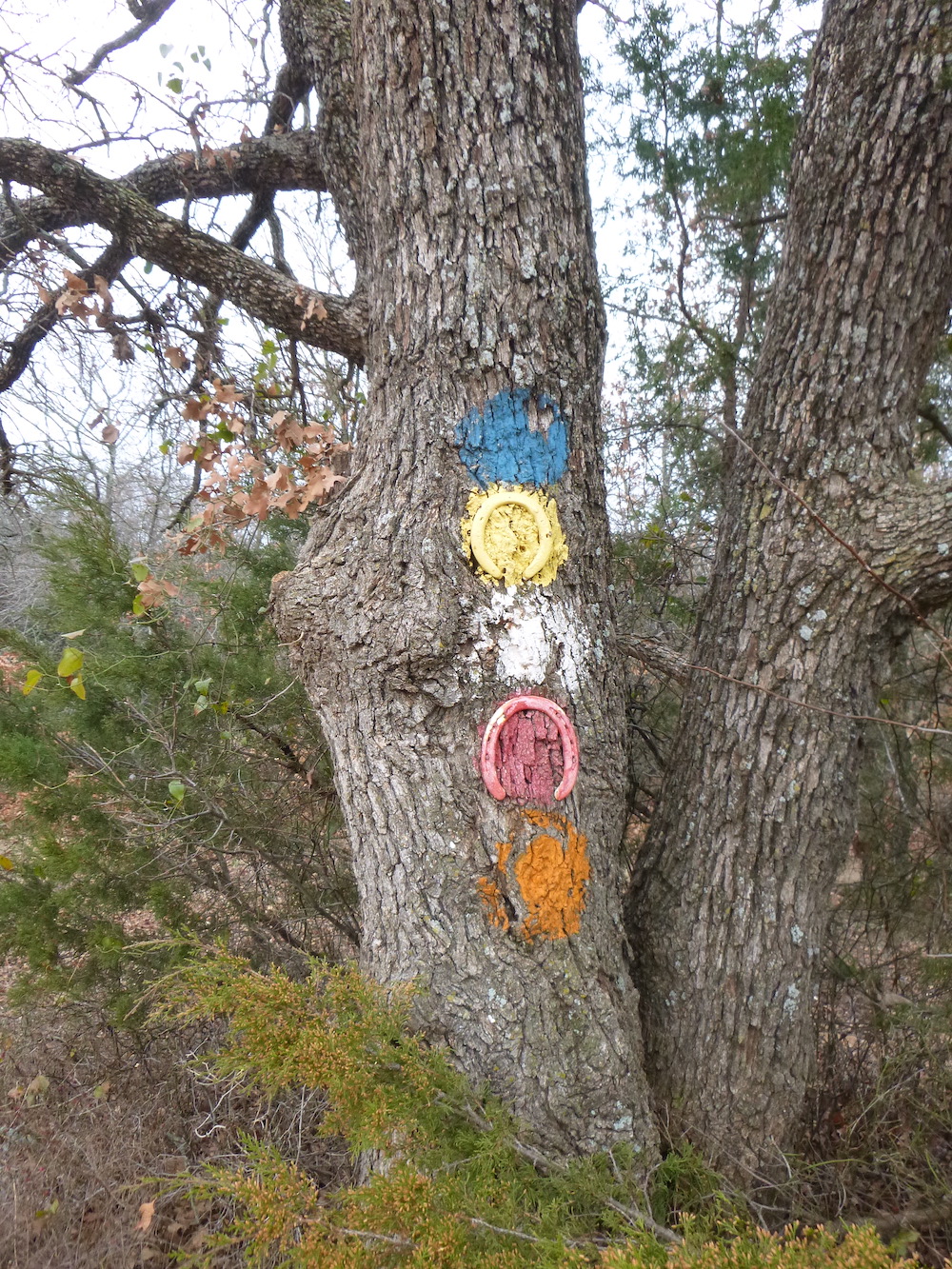 Grasslands Trail Run photo 8