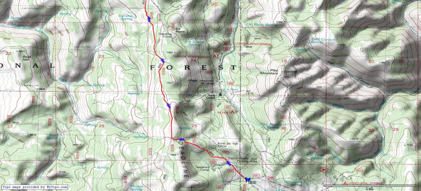 Outlaw Trail Ultra Half Marathon photo 4
