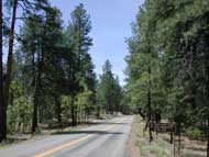 23nd Annual Groom Creek Classic: 1/2 Marathon, 10k, 5k Run photo 5