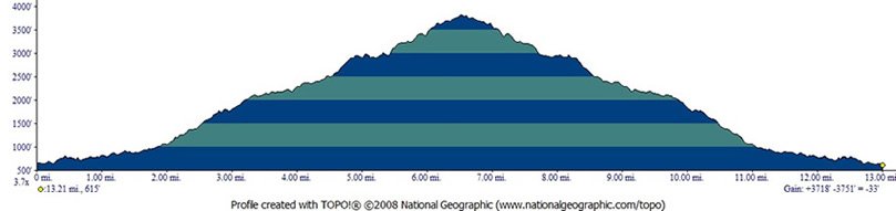 Diablo Trail Run photo 2