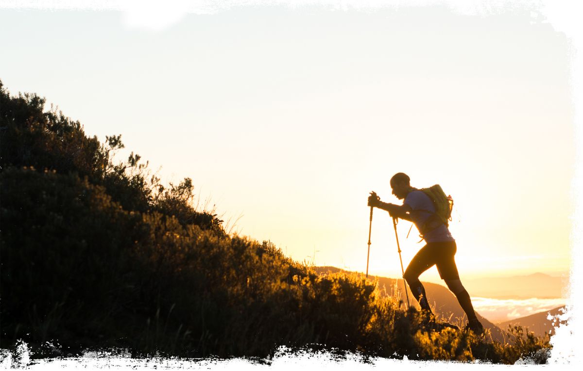 Spartan Trail - Monterey photo 4