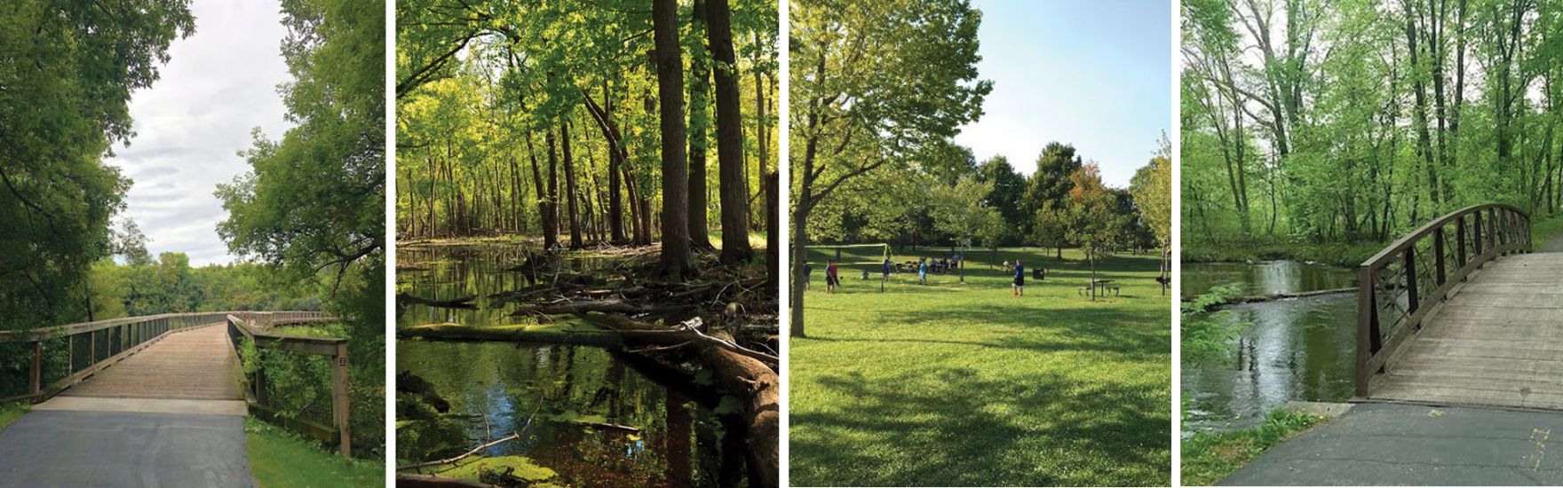 Maple Grove Half Marathon photo 4