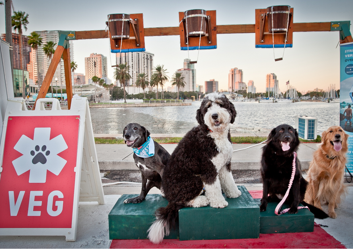 St Pete Run Fest photo 8