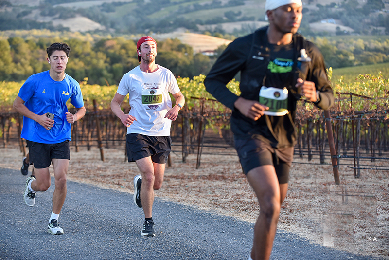 Cloverdale Vineyard Races photo 4