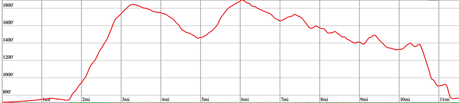 High Tor Trail Marathon photo 8