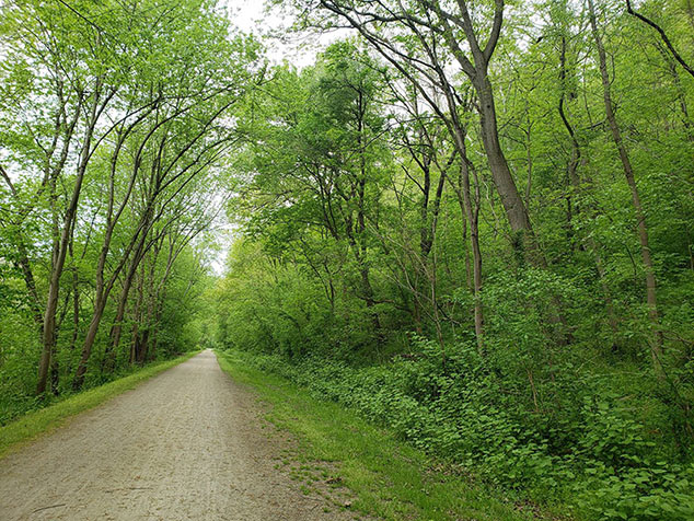 Boston Trail 1/2 Marathon and 5K Run/Walk photo 8