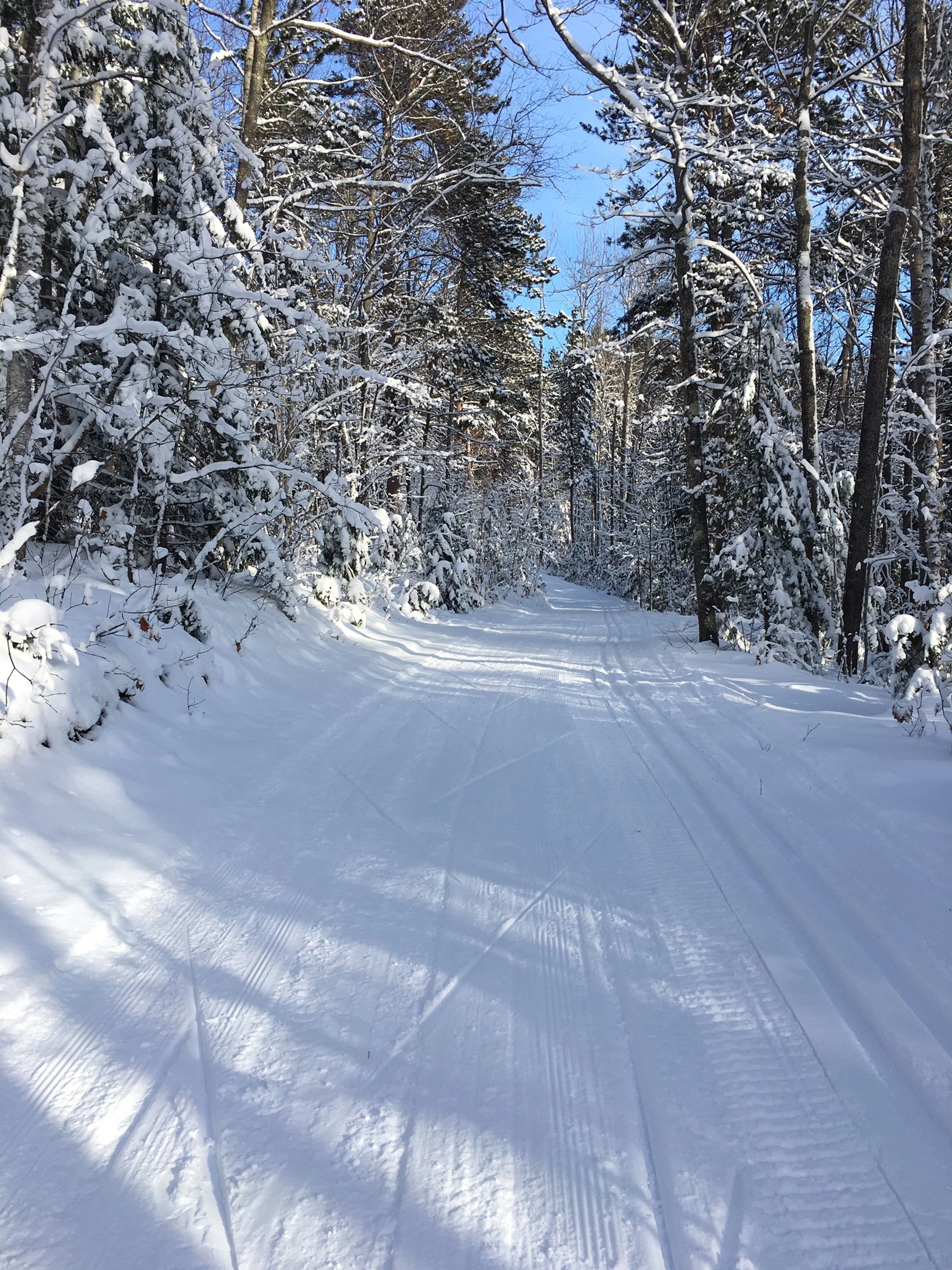 Marquette Trails Festival photo 4