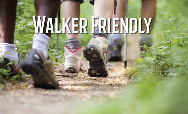 DoLittle Marathon photo 3