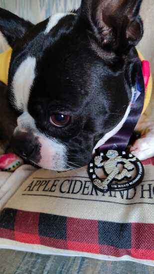 Holiday 5K, 10K, & 13.1M at Williamsburg, VA (49) photo 1