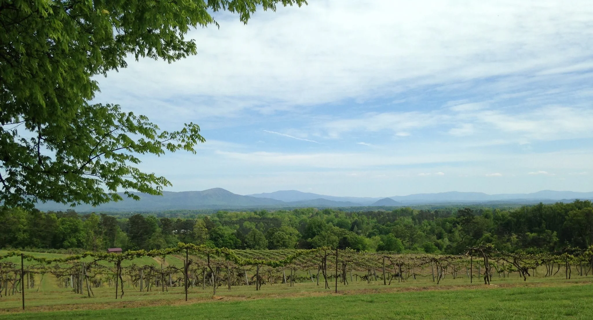 Cleveland Half Marathon, 10k & 5k photo 8